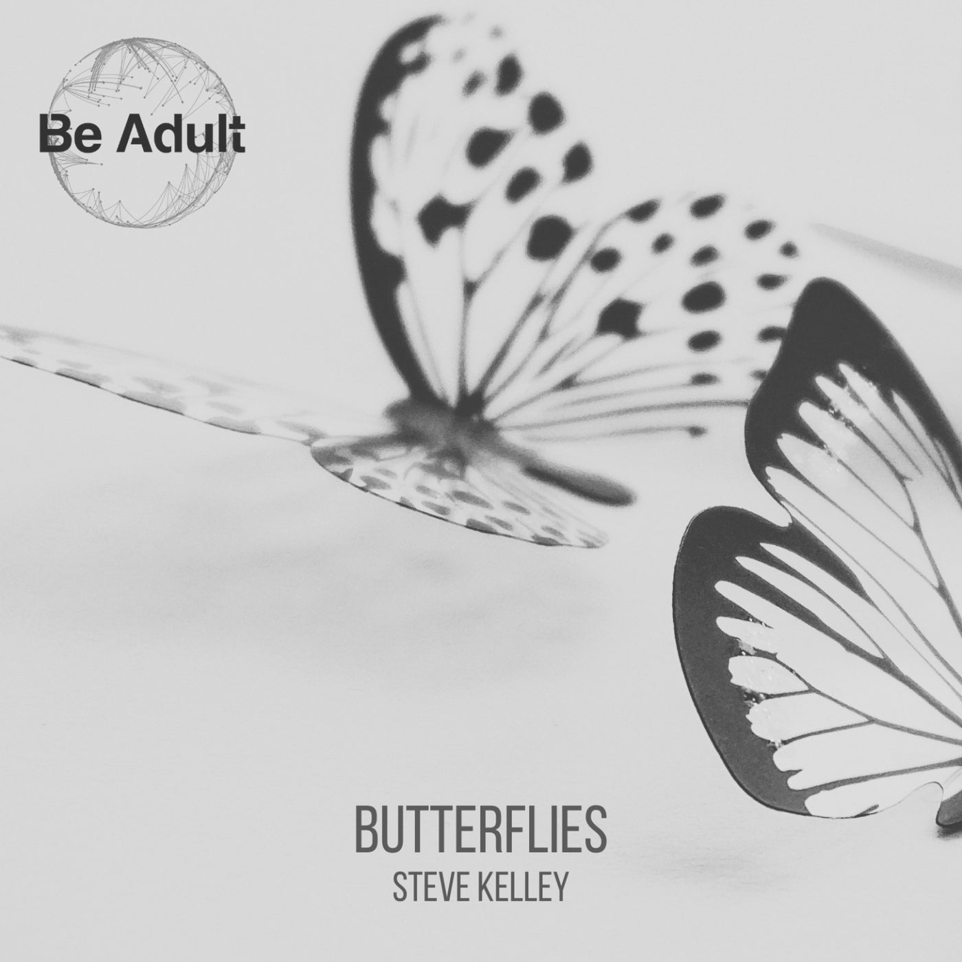 Steve Kelley - Butterflies [233]